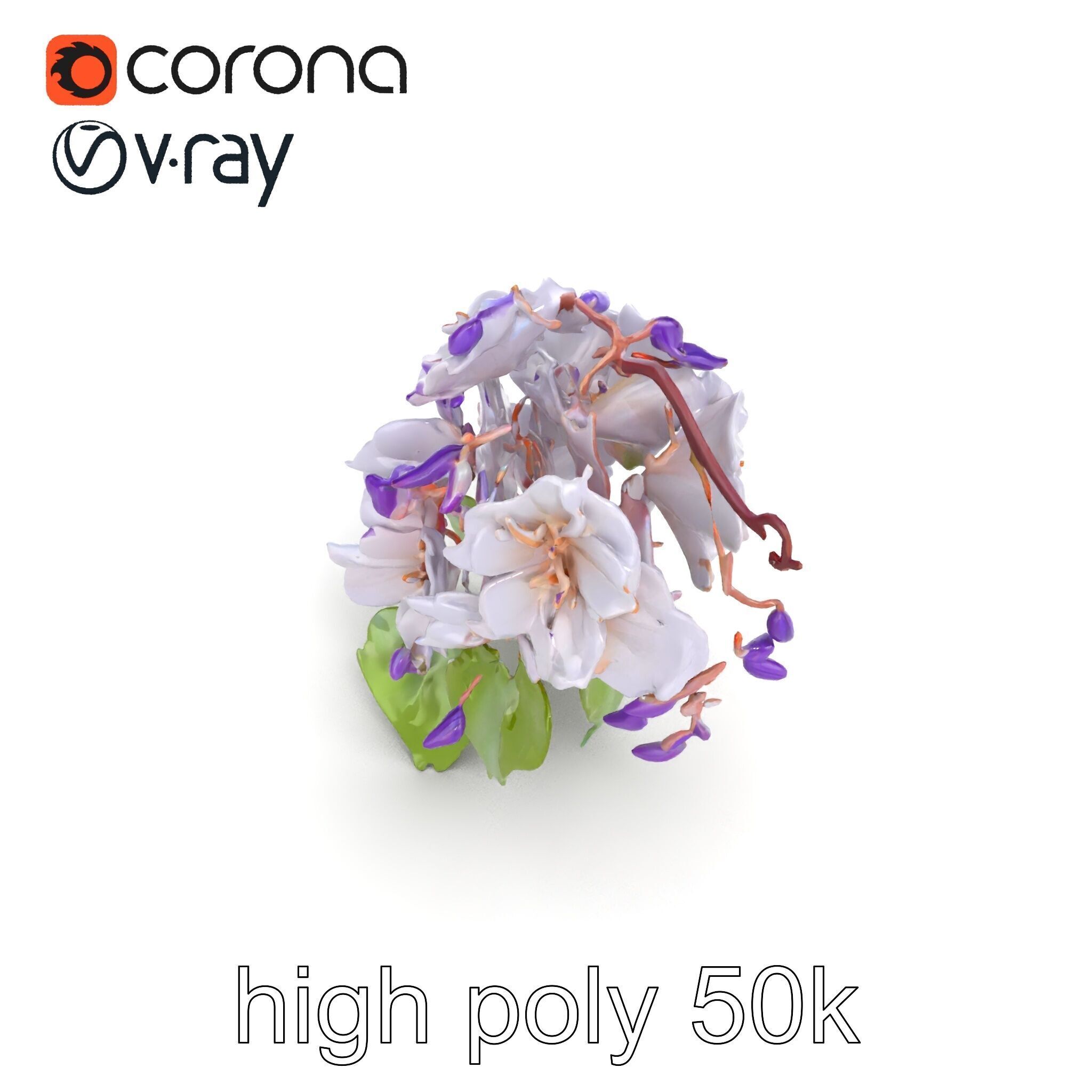Double Wisteria Plush Flowers Realistic Model Pack Low-poly 3D model_17
