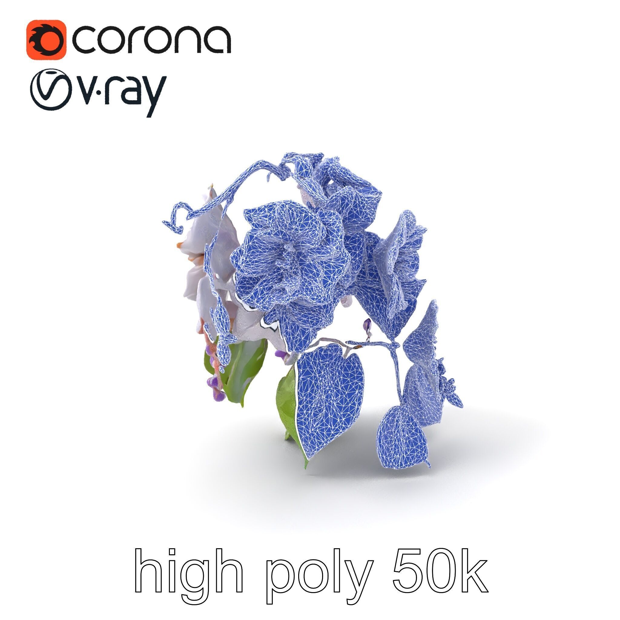 Double Wisteria Plush Flowers Realistic Model Pack Low-poly 3D model_1