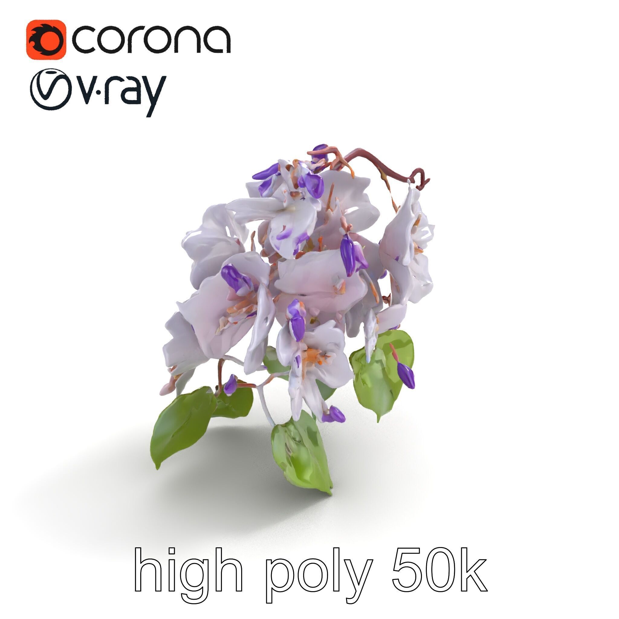 Double Wisteria Plush Flowers Realistic Model Pack Low-poly 3D model_9