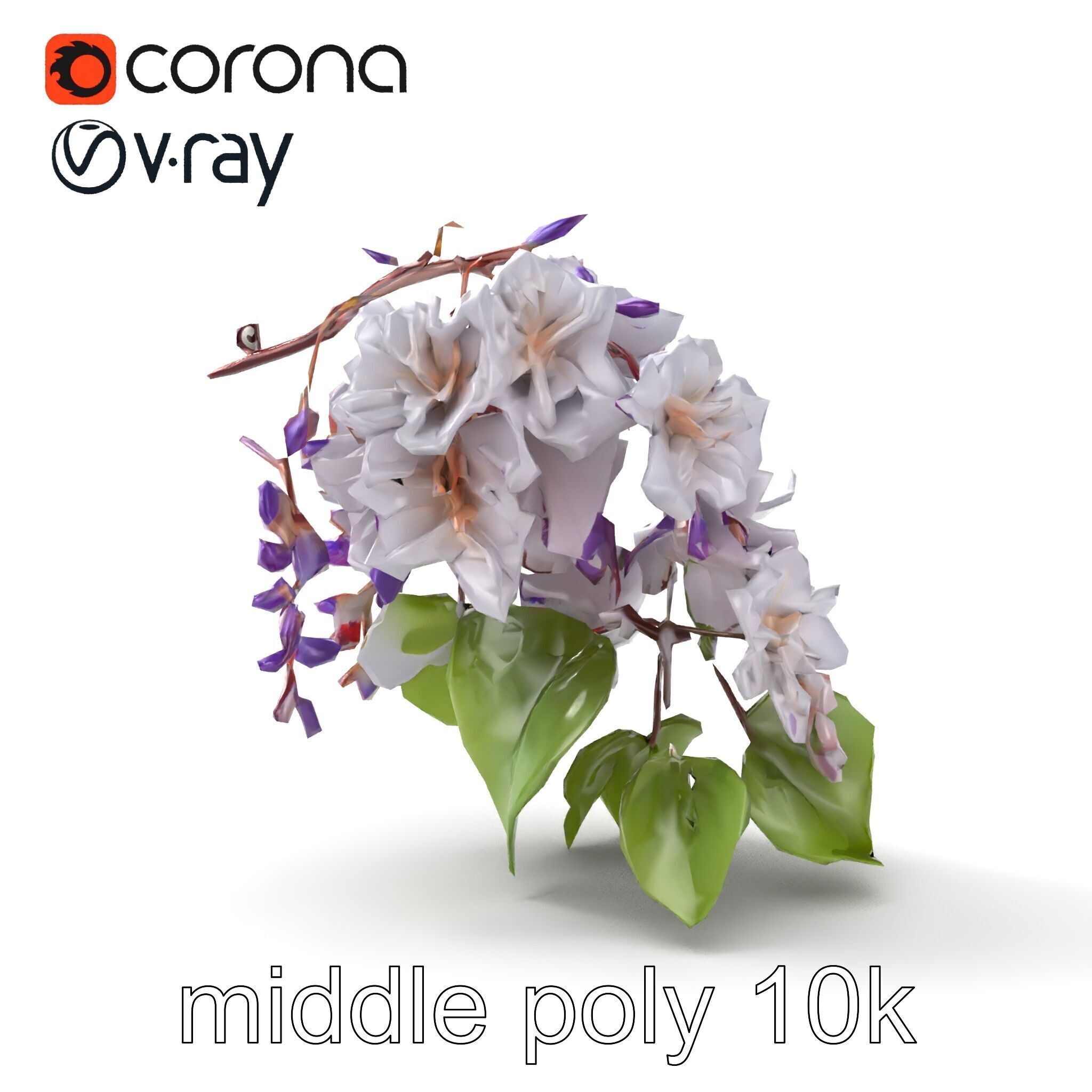 Double Wisteria Plush Flowers Realistic Model Pack Low-poly 3D model_11