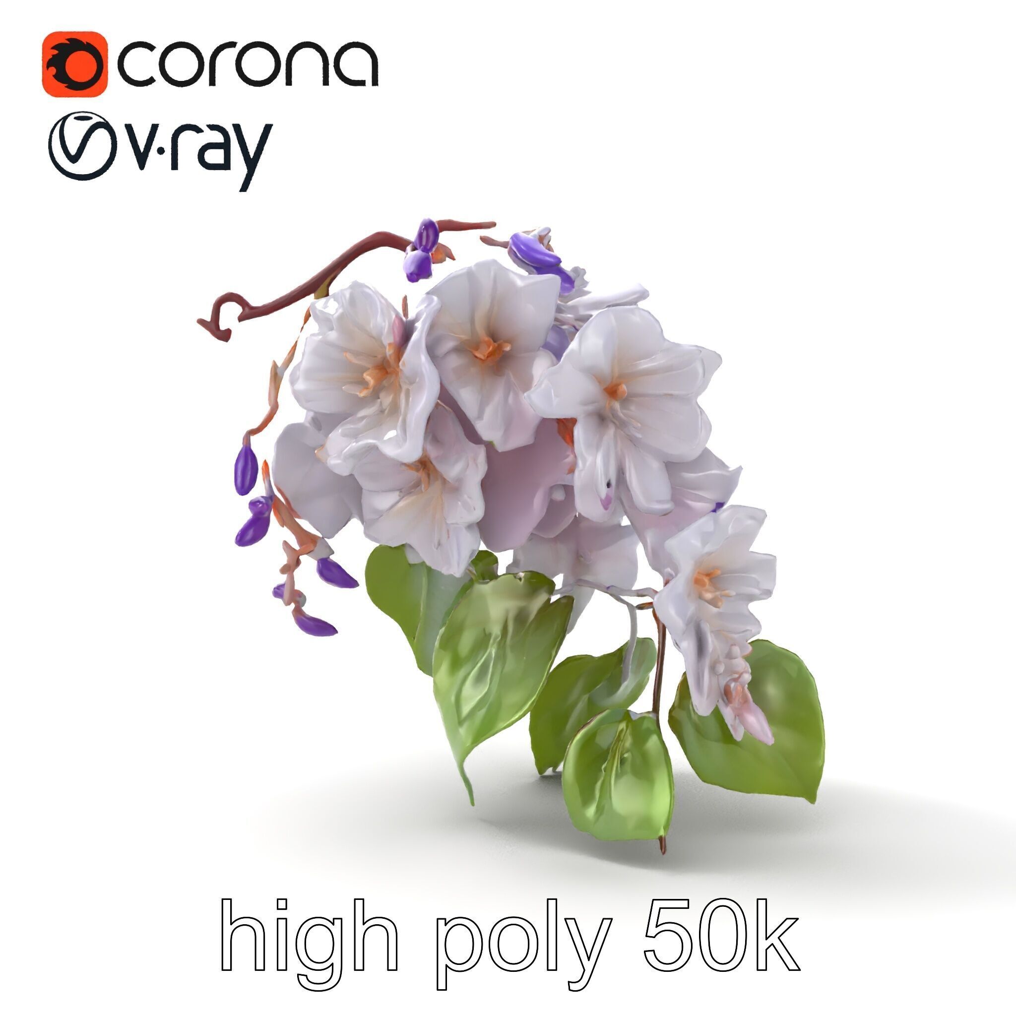 Double Wisteria Plush Flowers Realistic Model Pack Low-poly 3D model_23