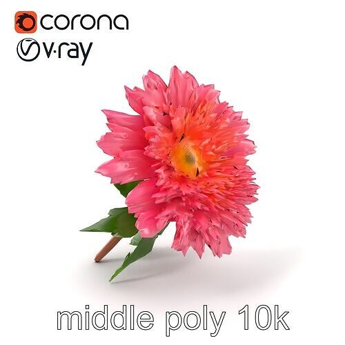 Chrysanthemum Pink Blossom Realistic Flower model pack Low-poly 3D model