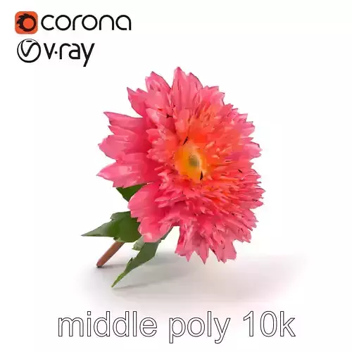 Chrysanthemum Pink Blossom Realistic Flower model pack Low-poly 3D model