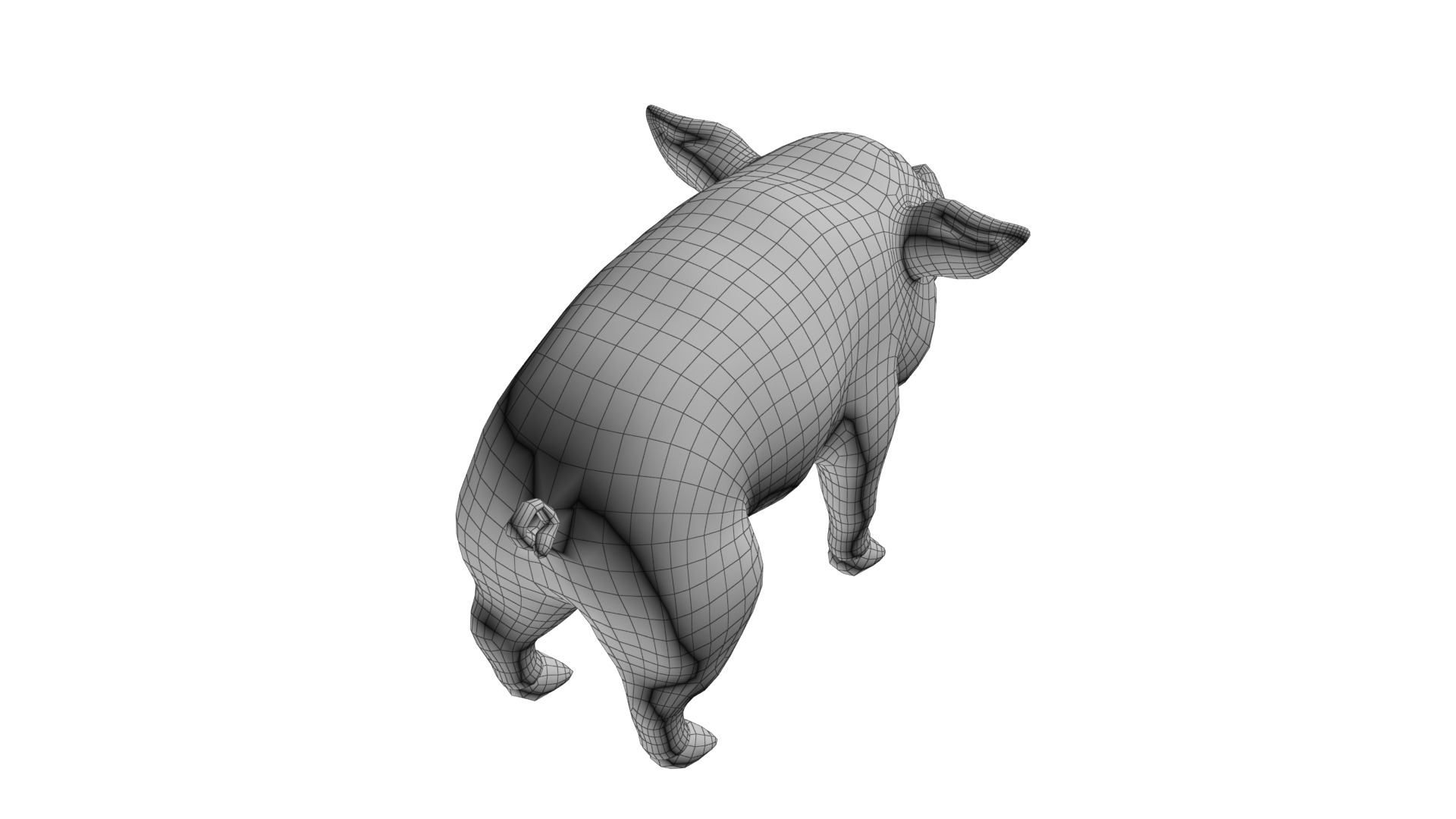 cartoon wild boar Low-poly 3D model_15