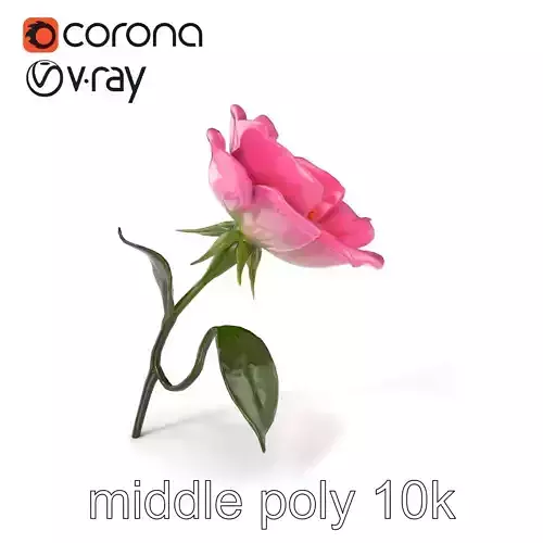 Rosa Pink Flower Petals Blossom model pack