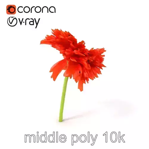 Chrysanthemum Orange Flower Model Pack Low-poly 3D model