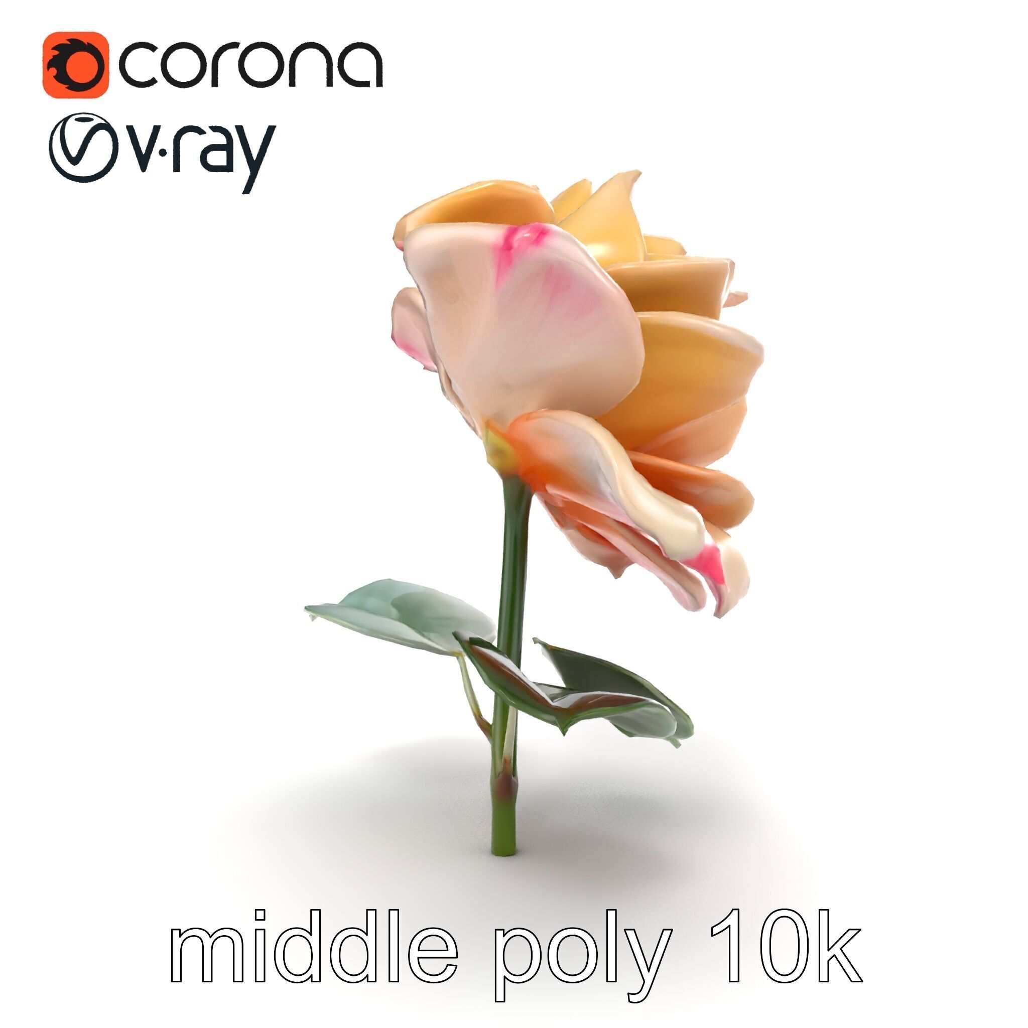 Rosa Double Bloom Model Pack Low-poly 3D model_22