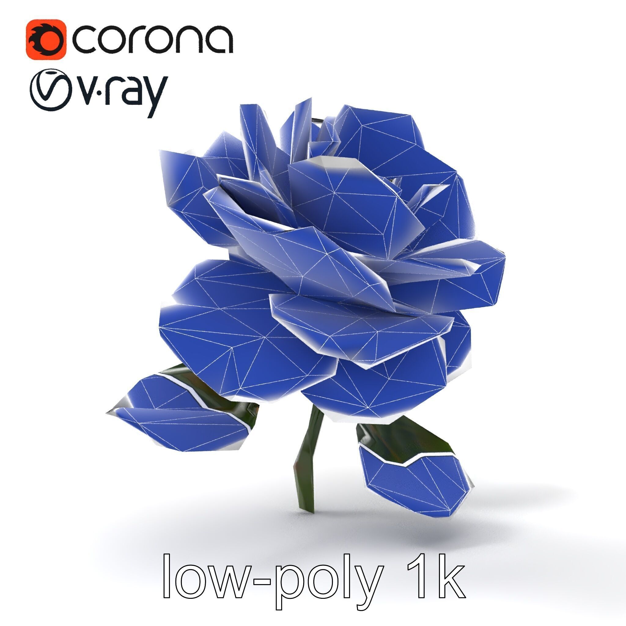 Rosa Double Bloom Model Pack Low-poly 3D model_24