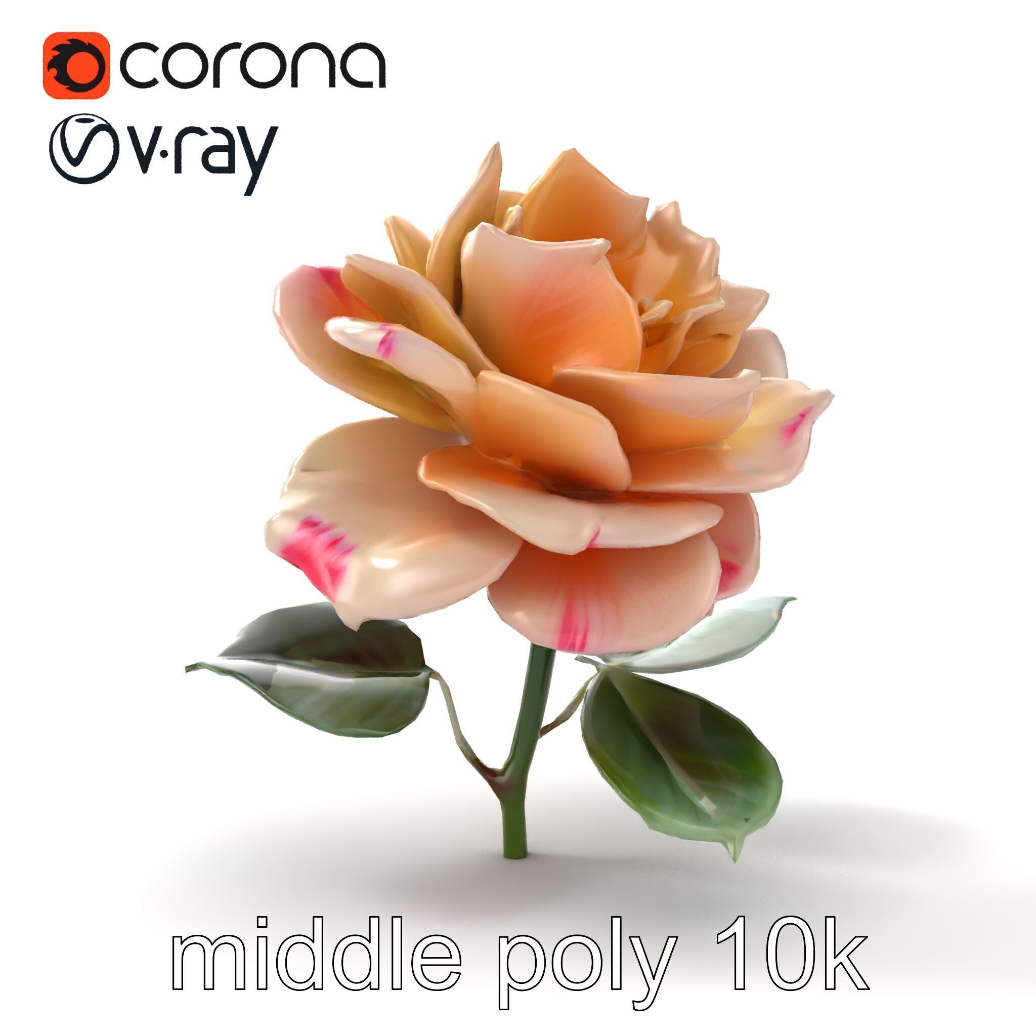 Rosa Double Bloom Model Pack Low-poly 3D model_27
