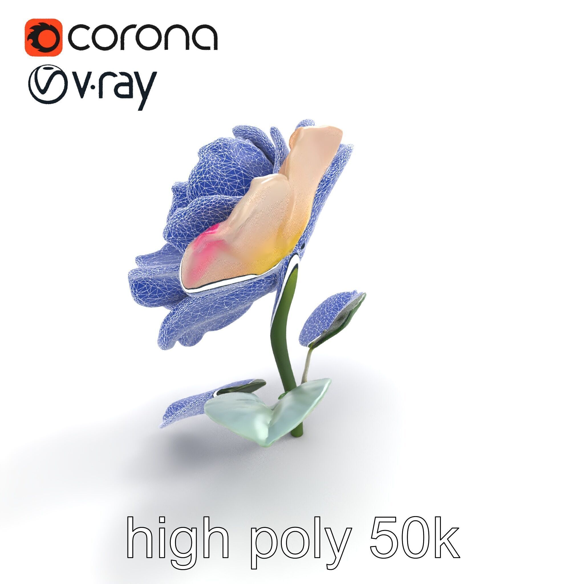 Rosa Double Bloom Model Pack Low-poly 3D model_11