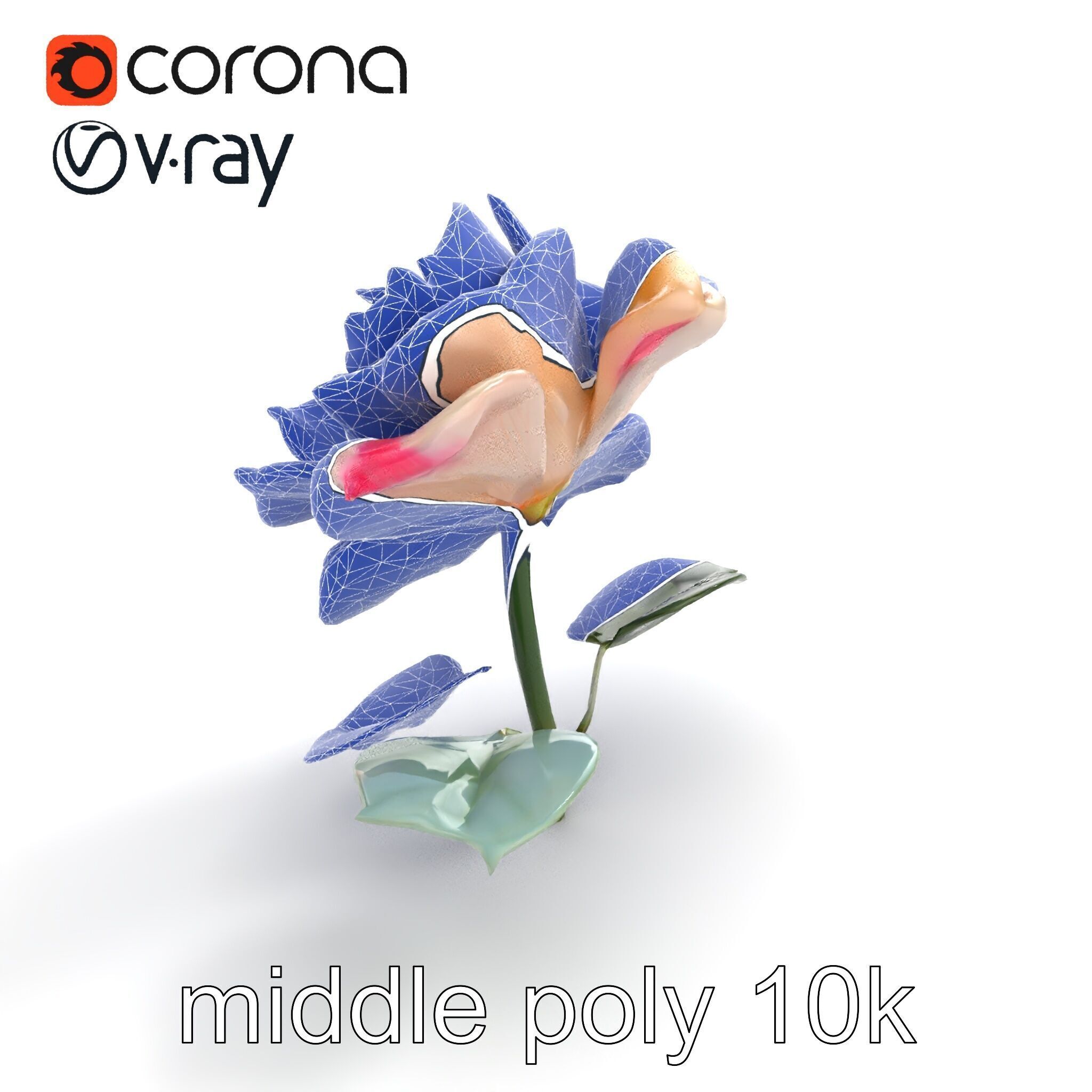 Rosa Double Bloom Model Pack Low-poly 3D model_19