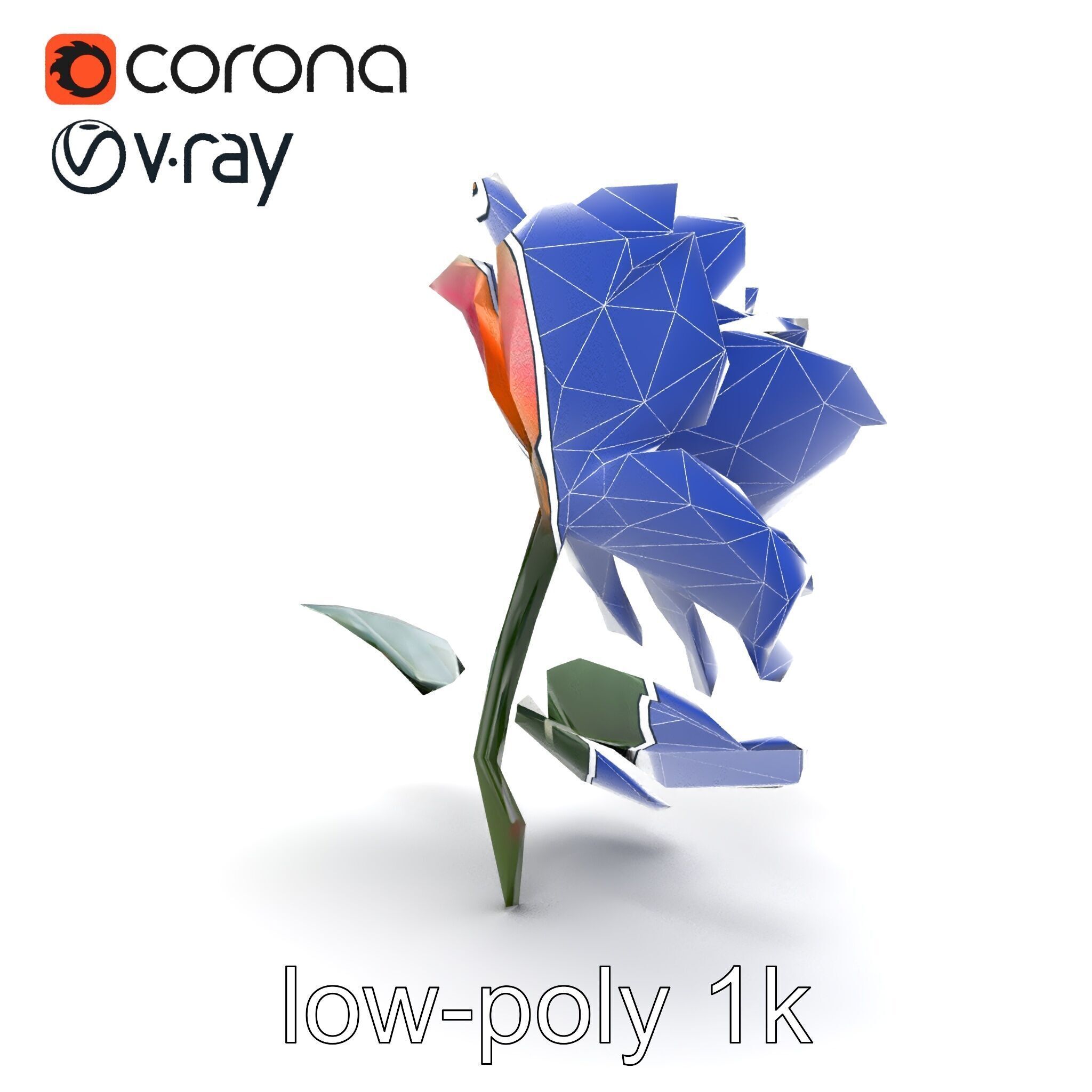 Rosa Double Bloom Model Pack Low-poly 3D model_16