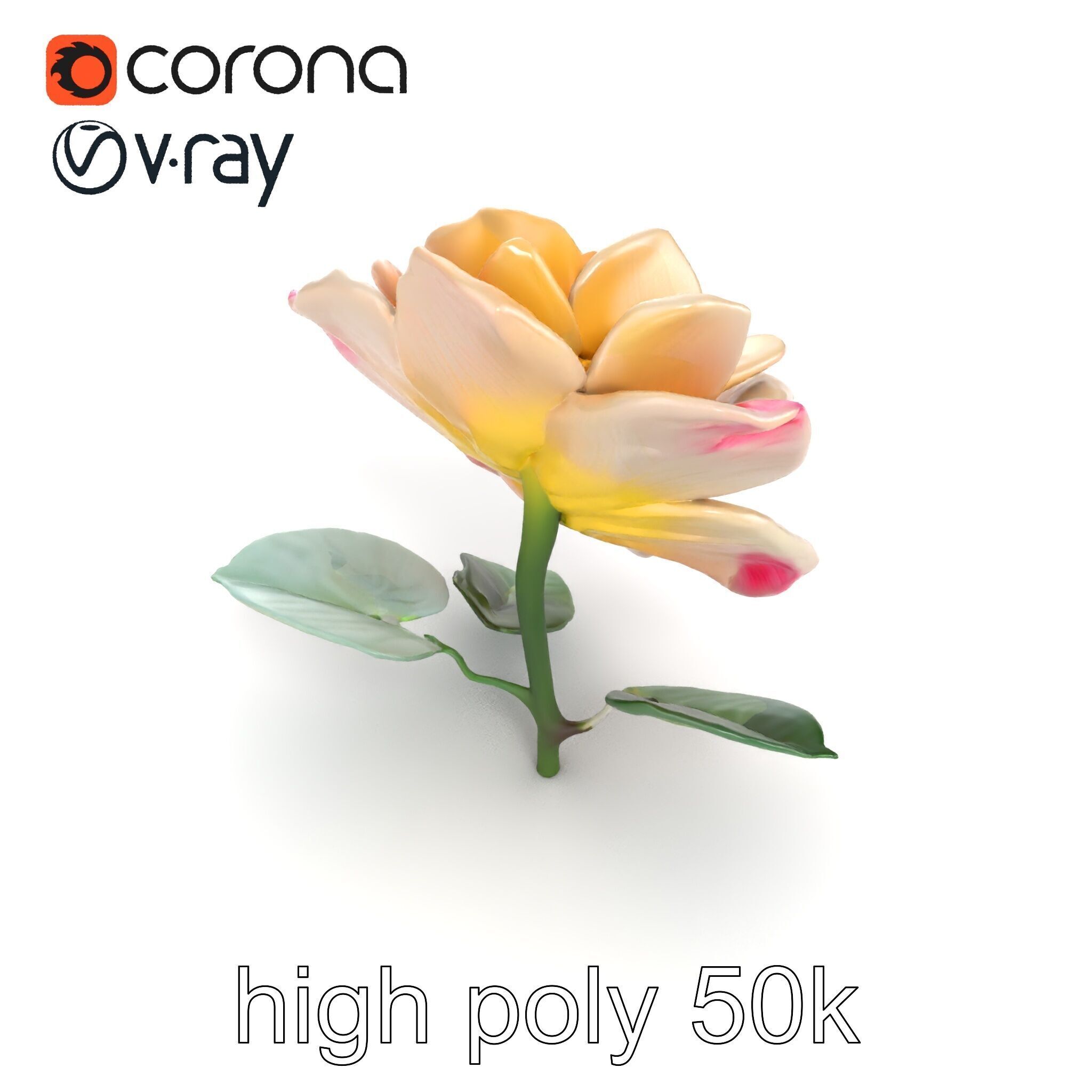 Rosa Double Bloom Model Pack Low-poly 3D model_12
