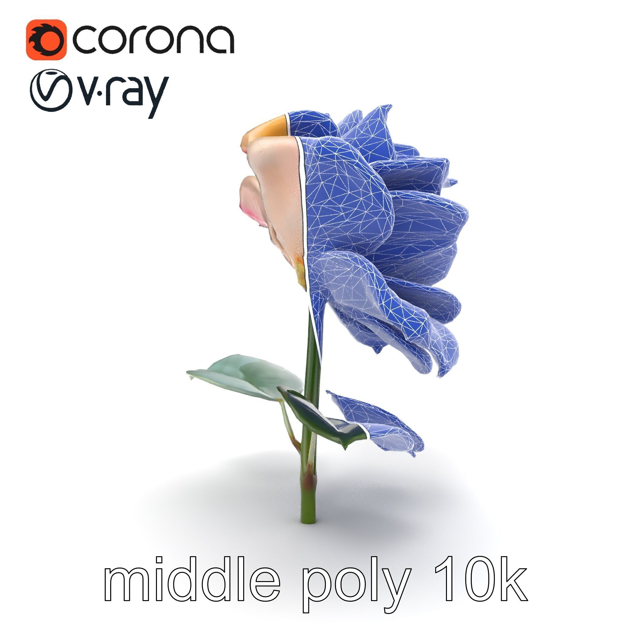 Rosa Double Bloom Model Pack Low-poly 3D model_26
