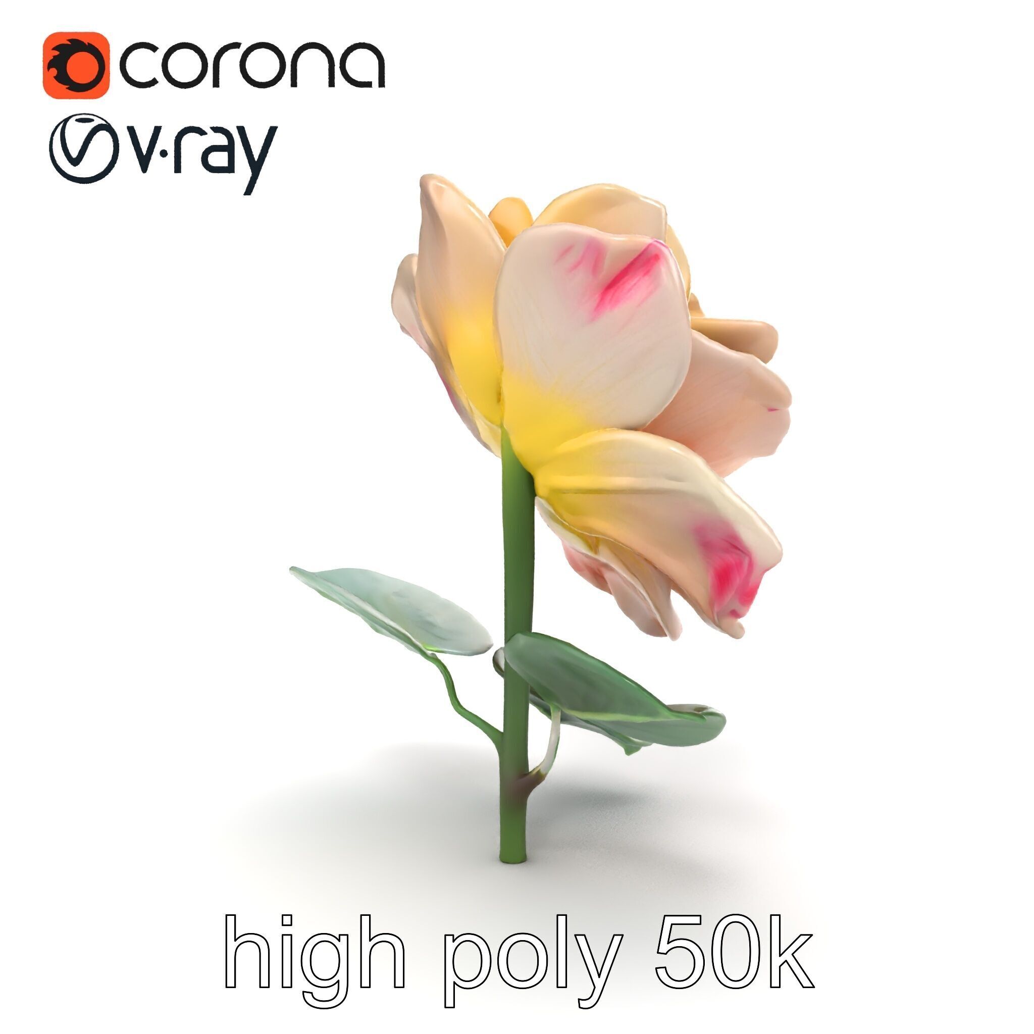 Rosa Double Bloom Model Pack Low-poly 3D model_14