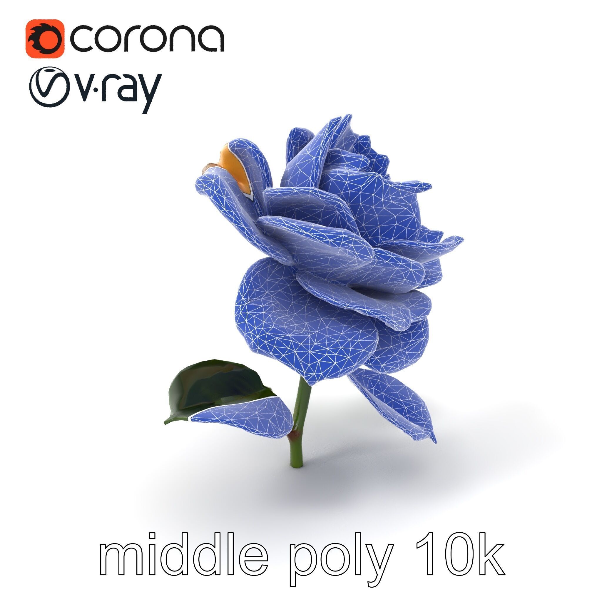 Rosa Double Bloom Model Pack Low-poly 3D model_5