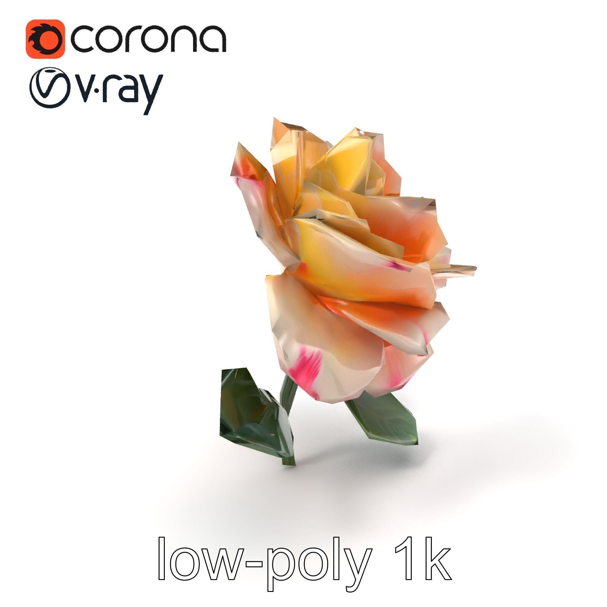 Rosa Double Bloom Model Pack Low-poly 3D model_4
