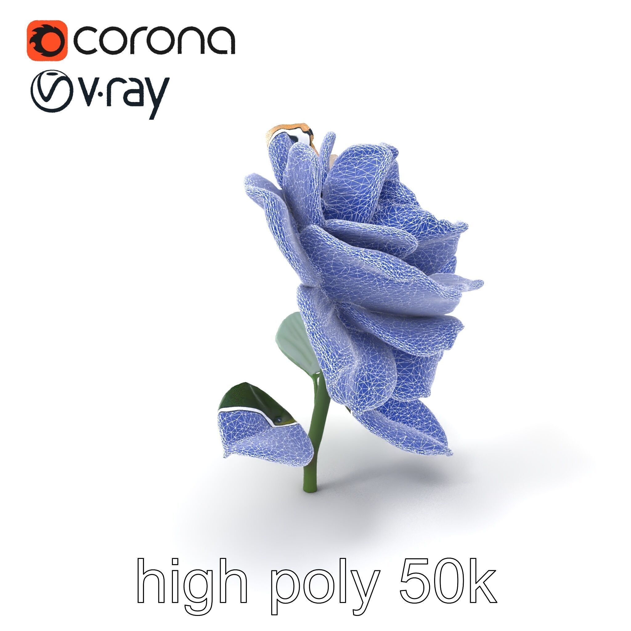 Rosa Double Bloom Model Pack Low-poly 3D model_1