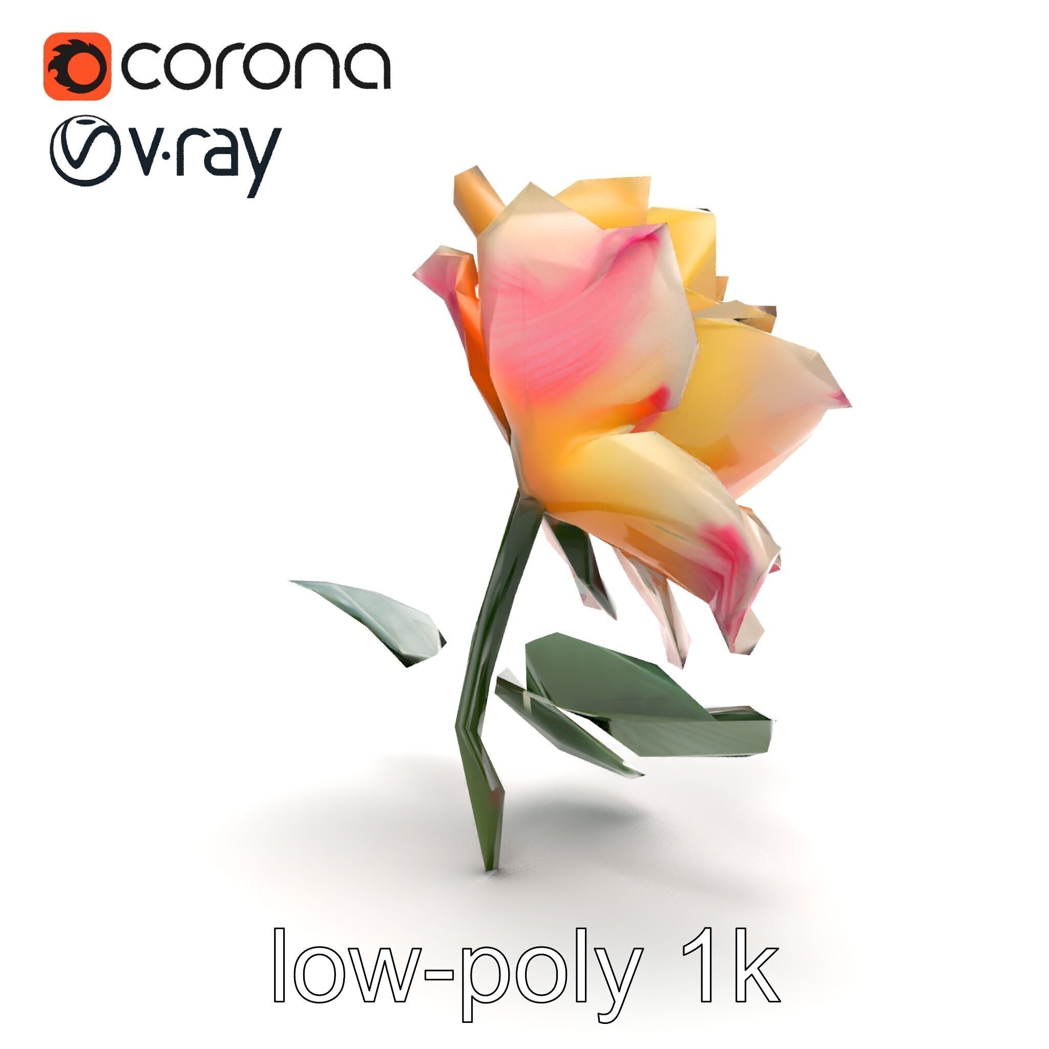 Rosa Double Bloom Model Pack Low-poly 3D model_21