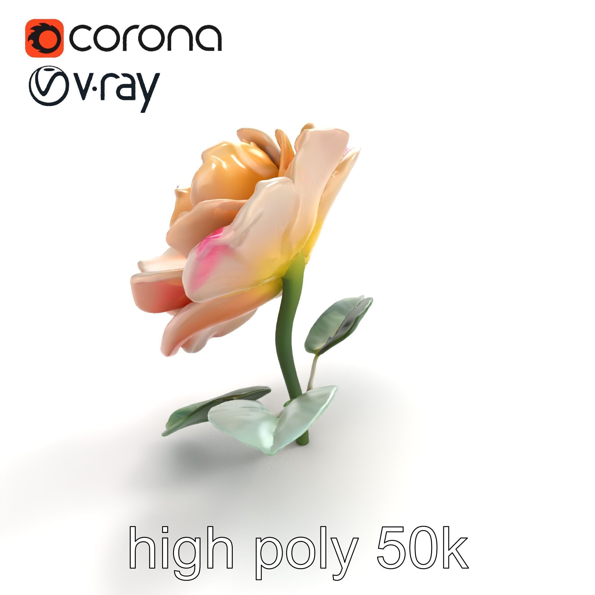 Rosa Double Bloom Model Pack Low-poly 3D model_9