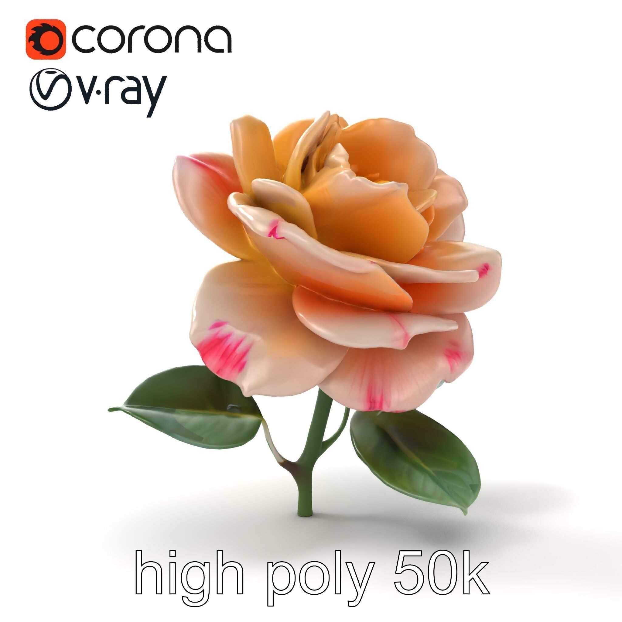 Rosa Double Bloom Model Pack Low-poly 3D model_15