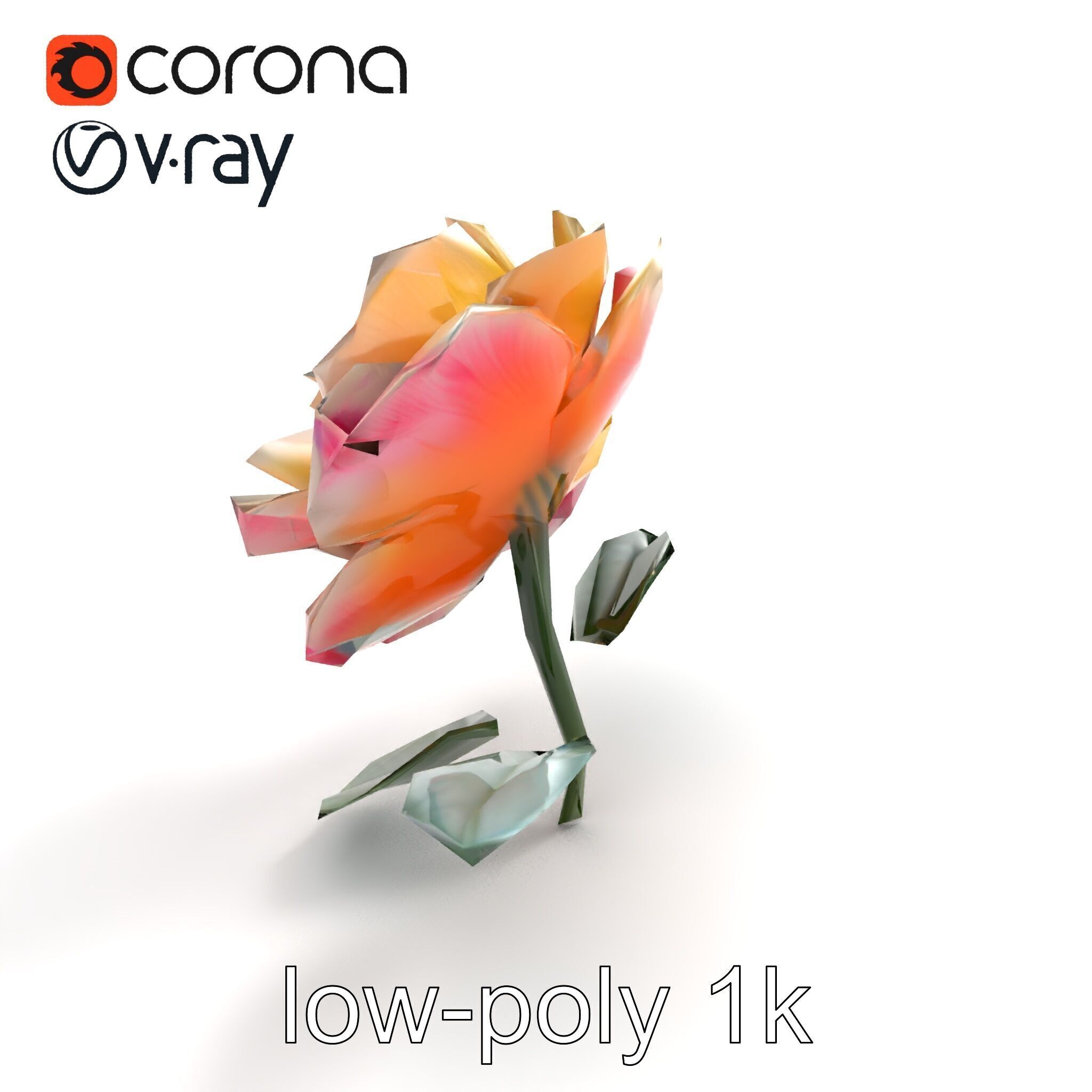 Rosa Double Bloom Model Pack Low-poly 3D model_8