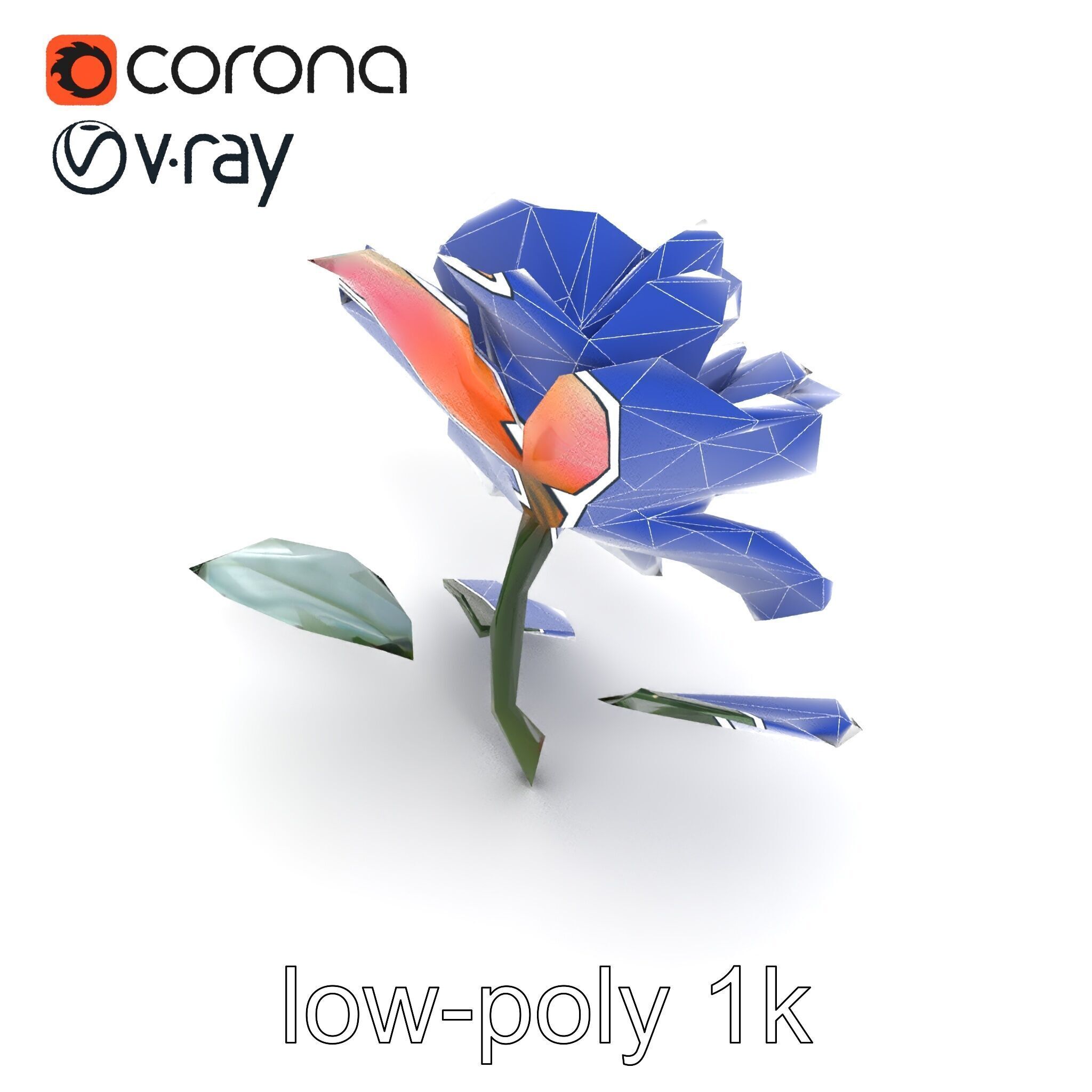 Rosa Double Bloom Model Pack Low-poly 3D model_10