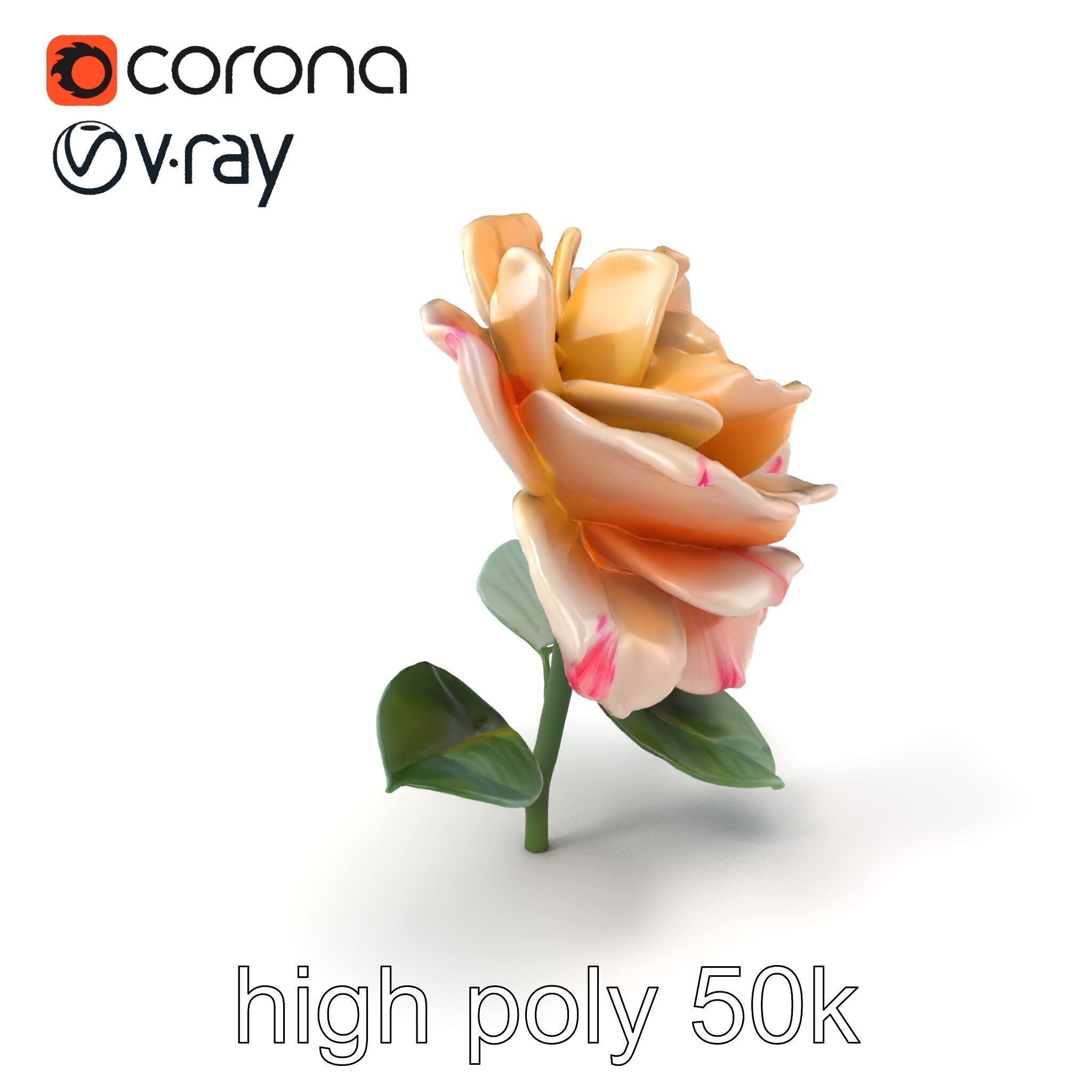 Rosa Double Bloom Model Pack Low-poly 3D model_2