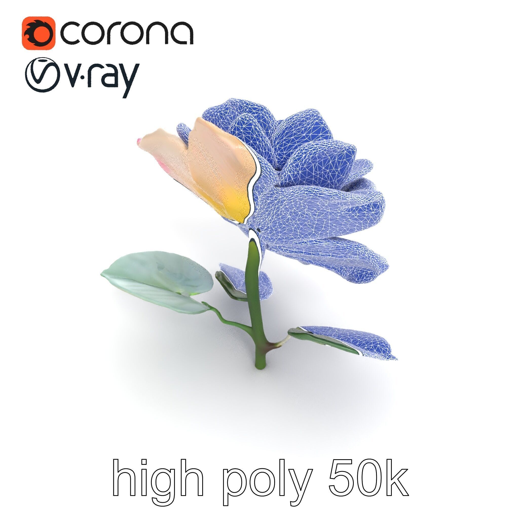 Rosa Double Bloom Model Pack Low-poly 3D model_17