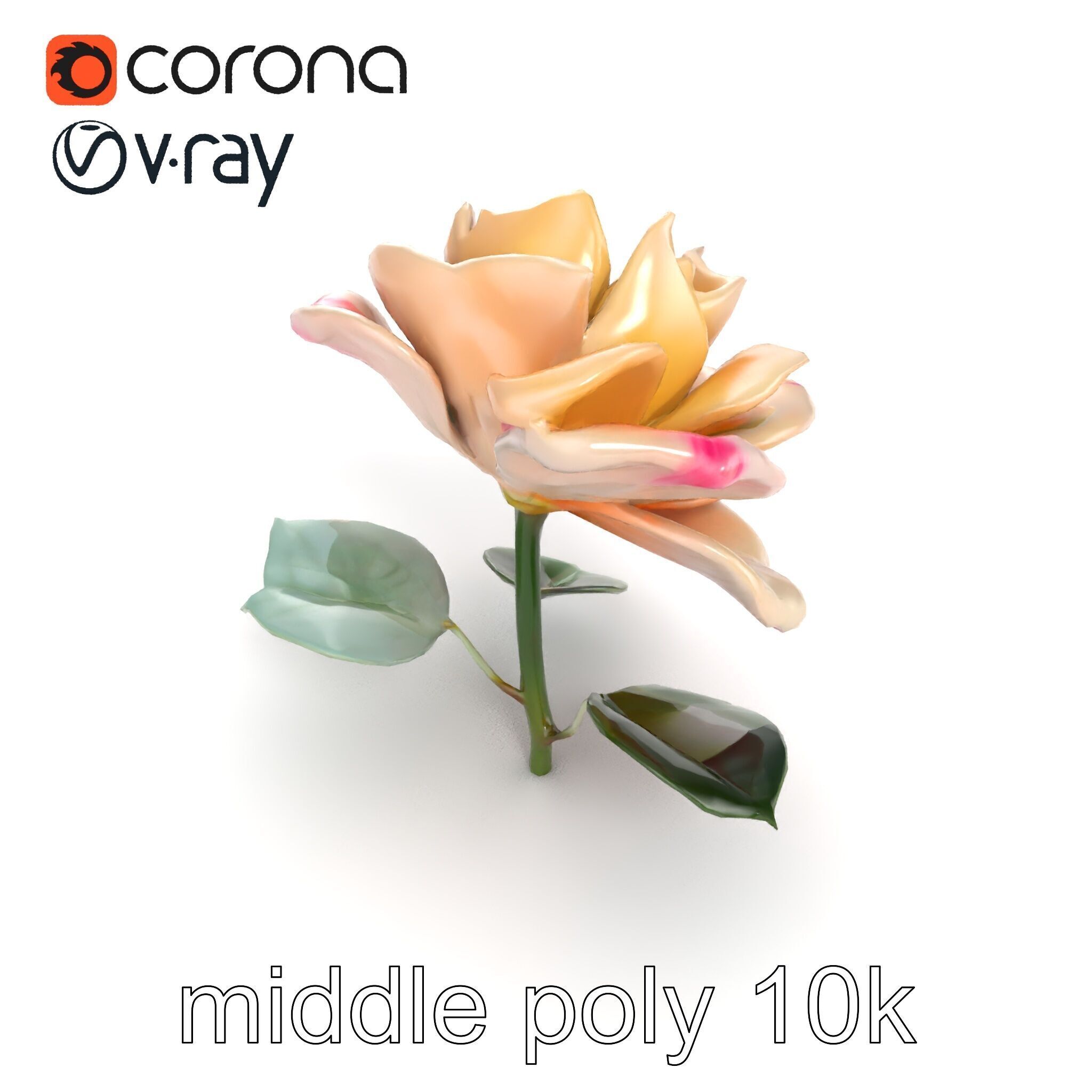 Rosa Double Bloom Model Pack Low-poly 3D model_30