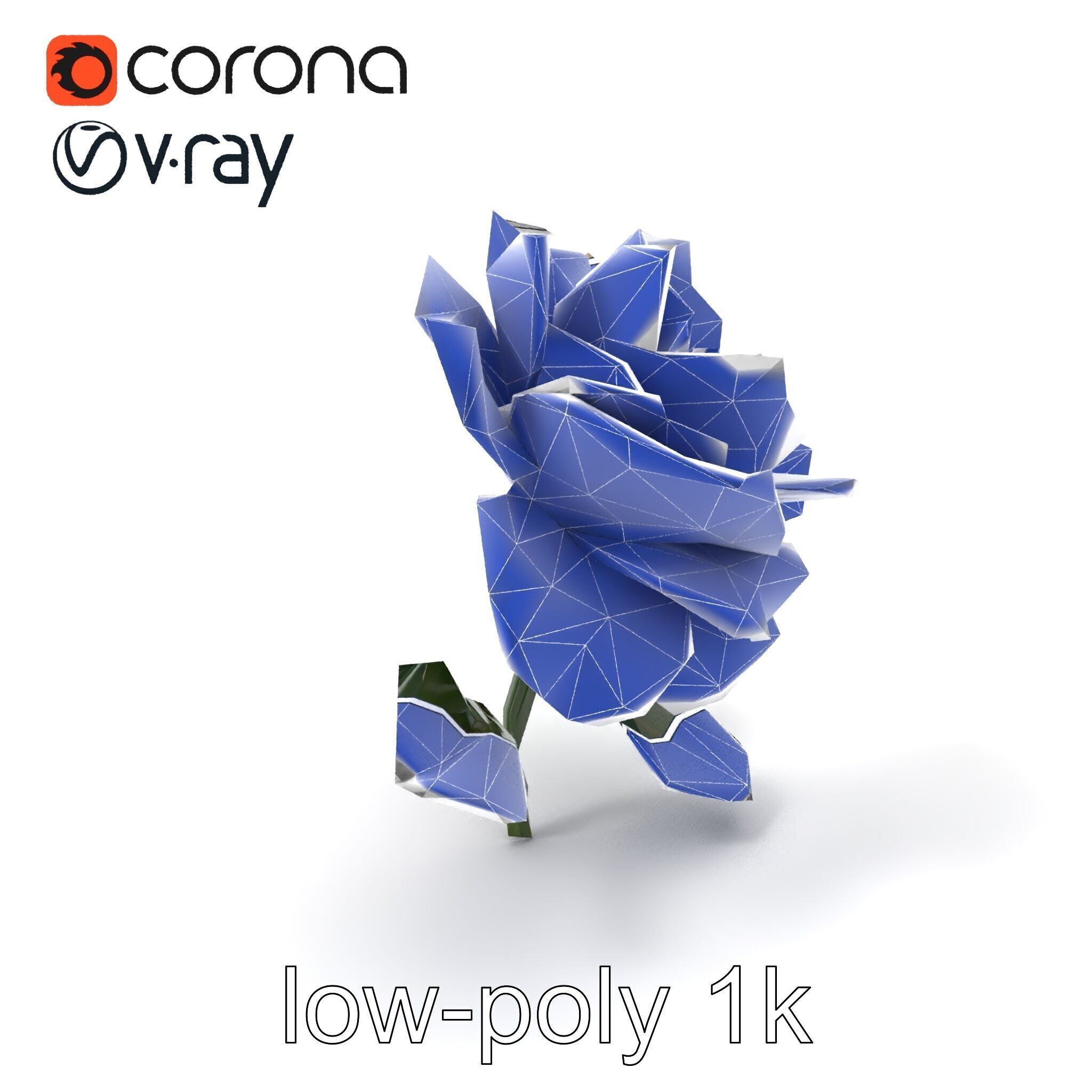 Rosa Double Bloom Model Pack Low-poly 3D model_6
