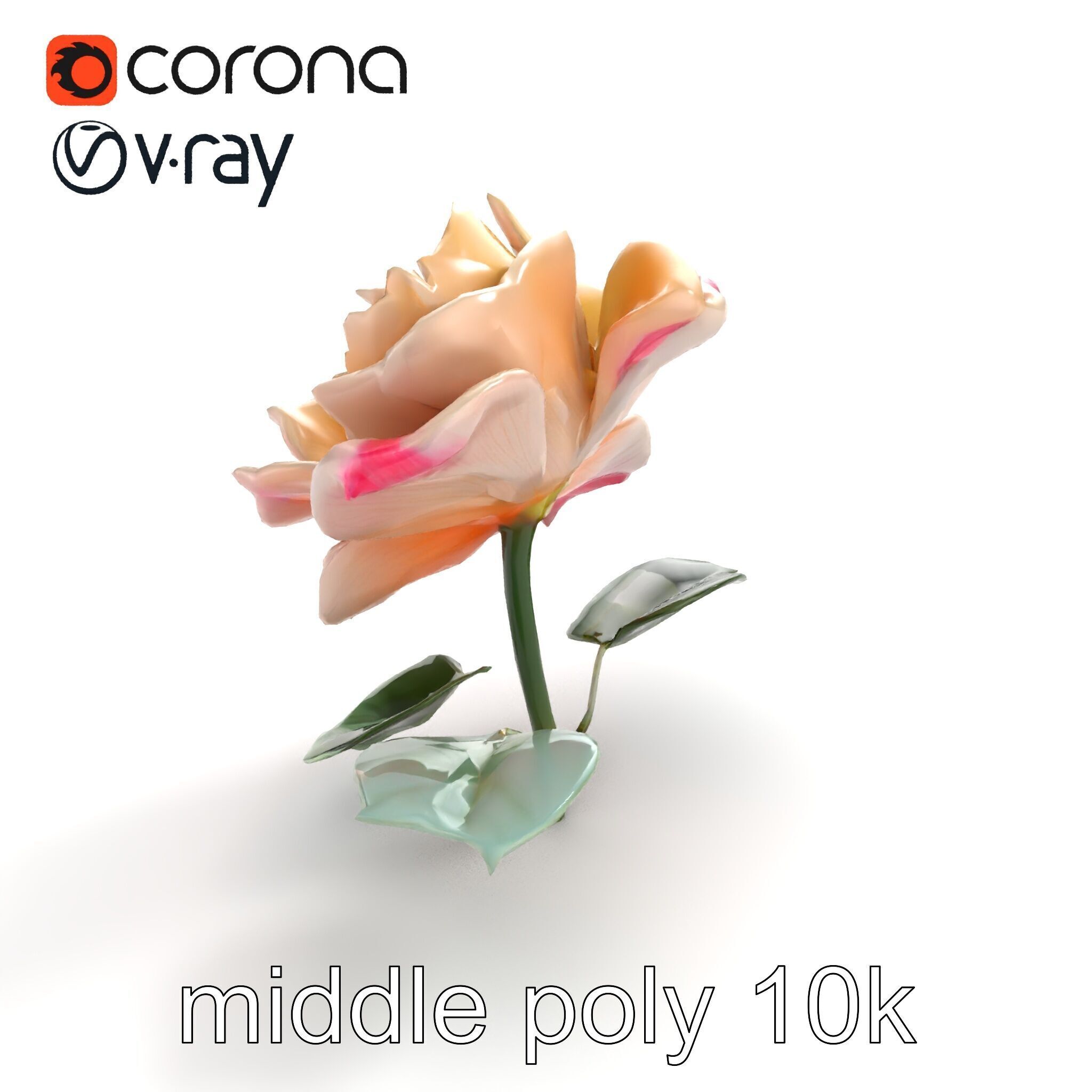 Rosa Double Bloom Model Pack Low-poly 3D model_7