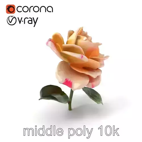 Rosa Double Bloom Model Pack Low-poly 3D model