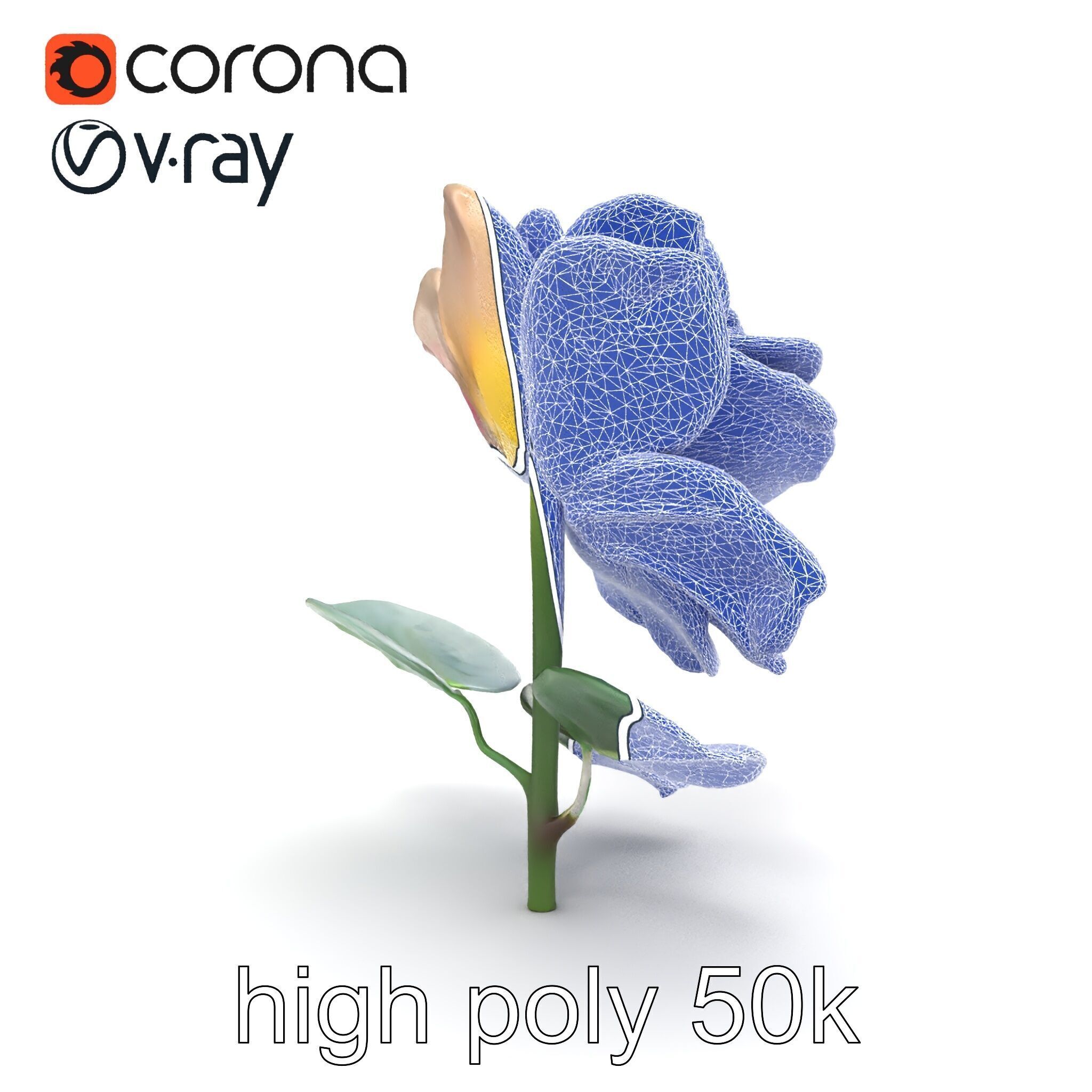 Rosa Double Bloom Model Pack Low-poly 3D model_29