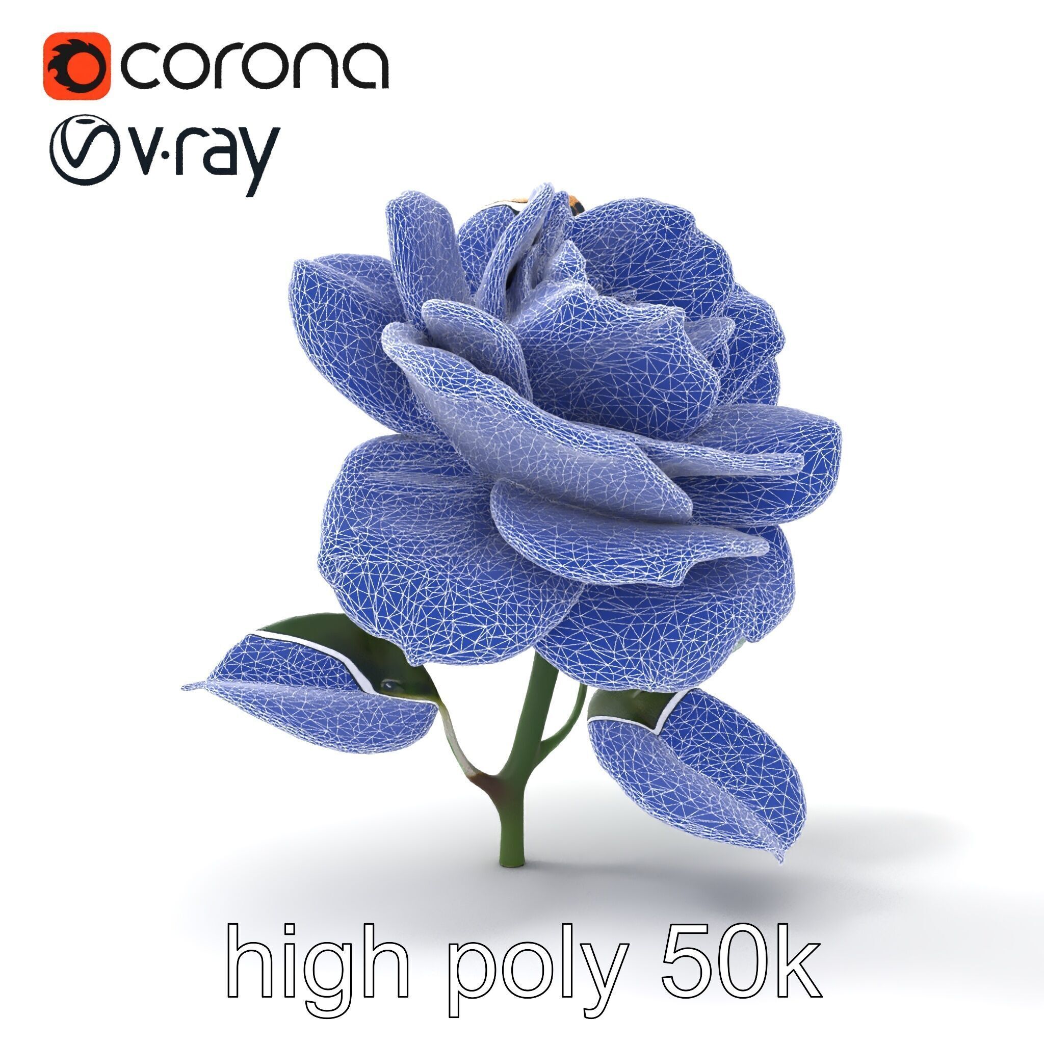 Rosa Double Bloom Model Pack Low-poly 3D model_18