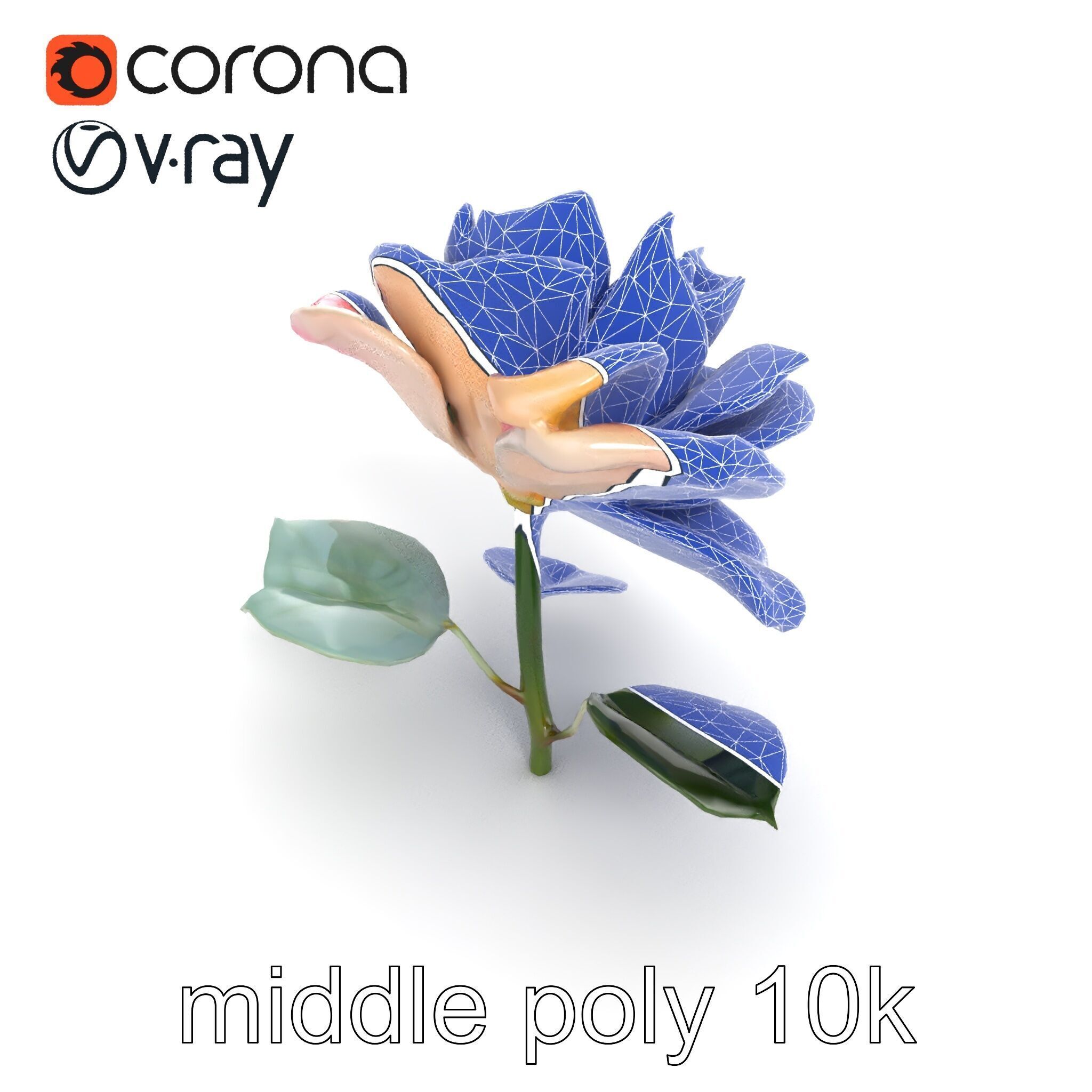 Rosa Double Bloom Model Pack Low-poly 3D model_25
