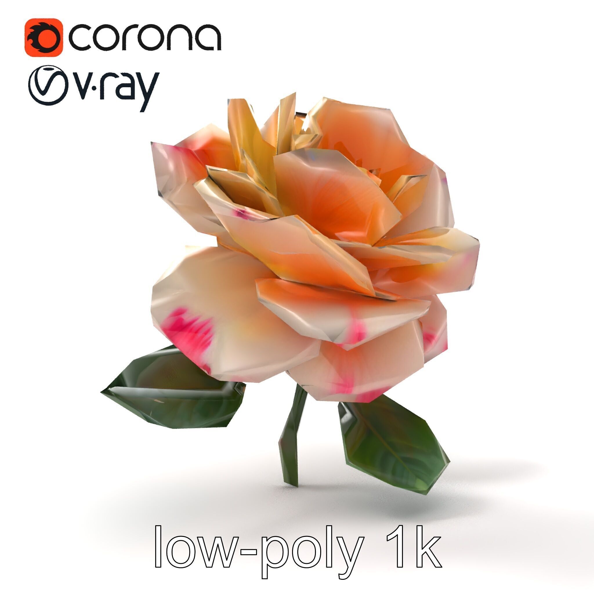 Rosa Double Bloom Model Pack Low-poly 3D model_13
