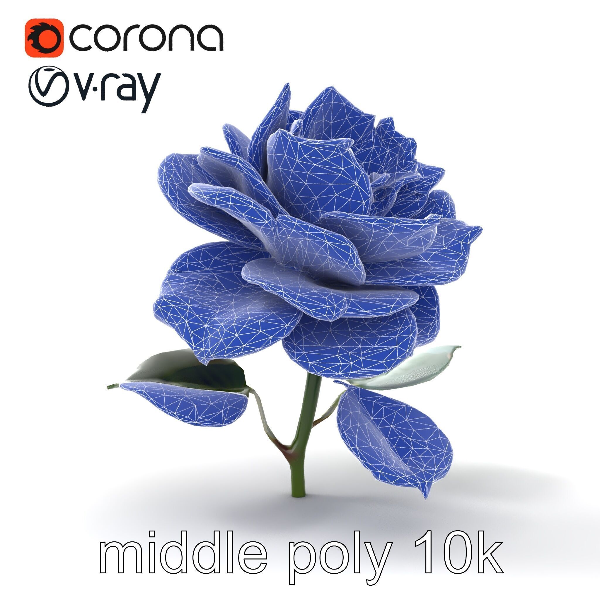 Rosa Double Bloom Model Pack Low-poly 3D model_23