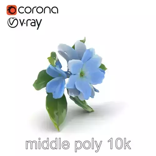 Lonicera Bicolor Floral 3D Model Pack