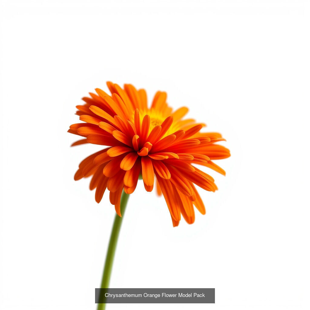 Exquisite Chrysanthemum 3D Model Collection _16
