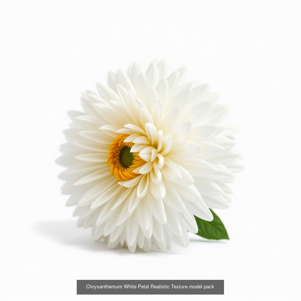 Exquisite Chrysanthemum 3D Model Collection _12