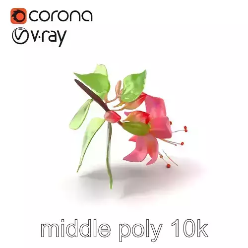 Honeysuckle Flower Realistic 3D Model Pack