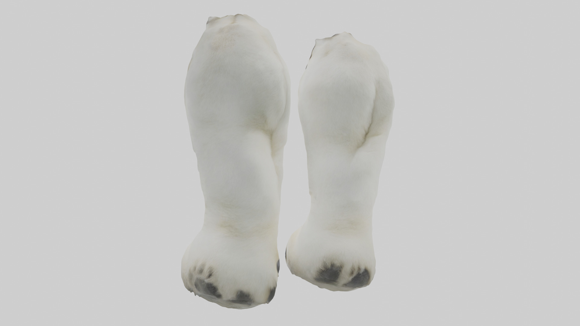 Polar Bear Paws Low-poly 3D model_1