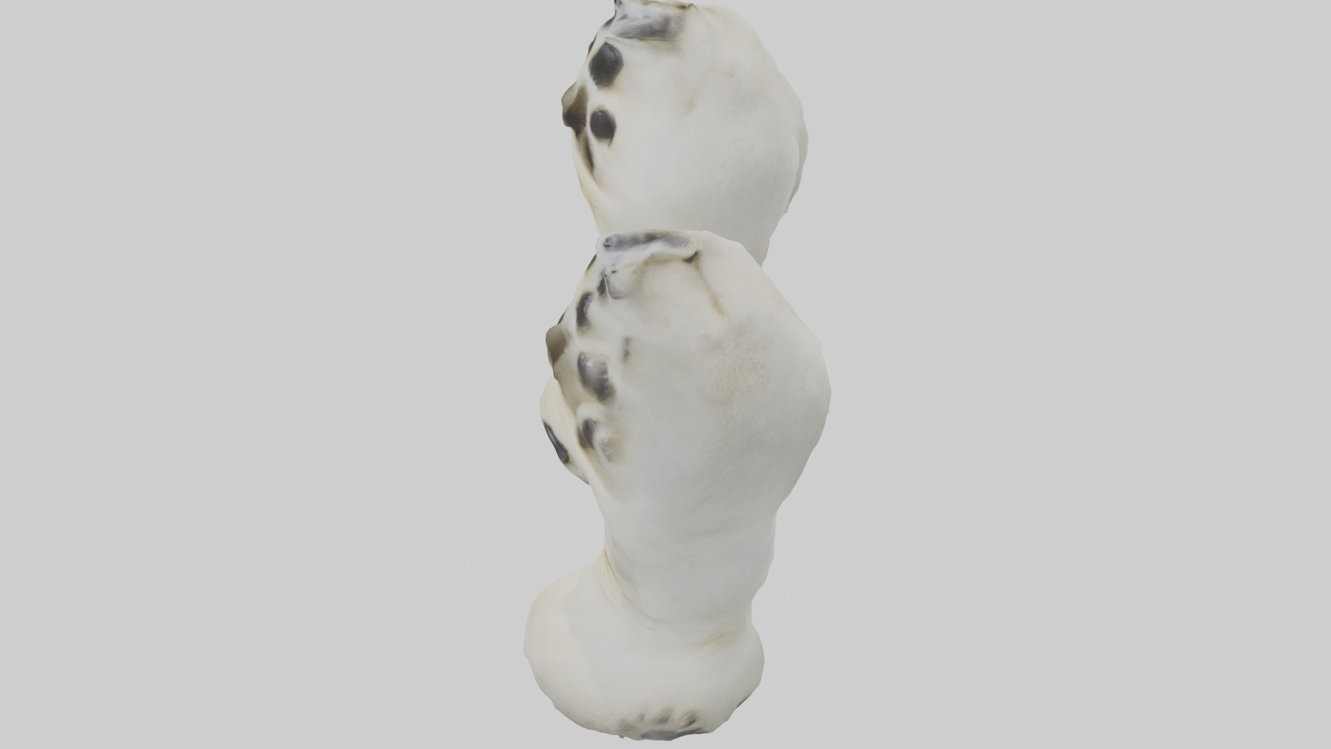 Polar Bear Paws Low-poly 3D model_17