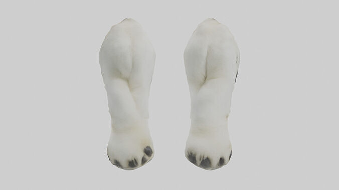 Polar Bear Paws Low-poly 3D model