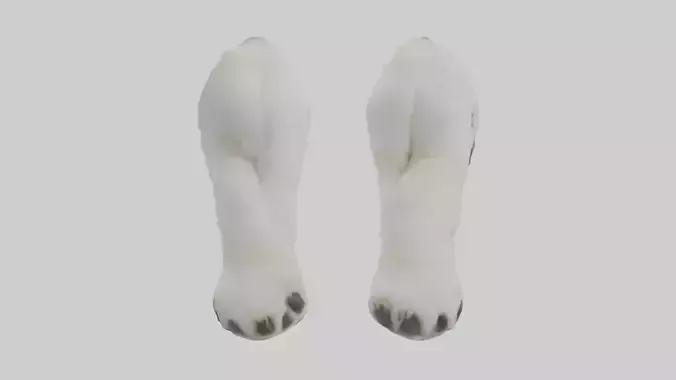Polar Bear Paws