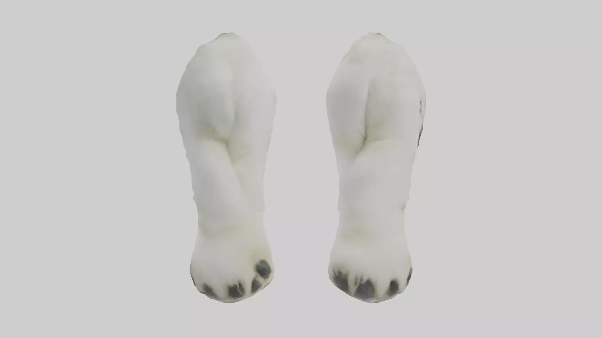 Polar Bear Paws Low-poly 3D model_0