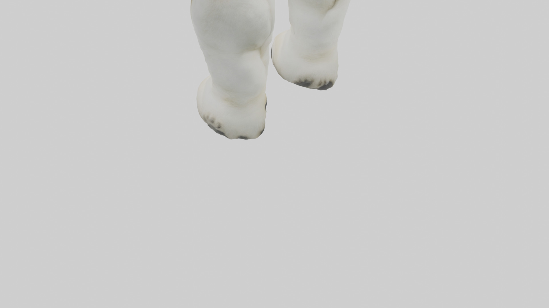 Polar Bear Paws Low-poly 3D model_3