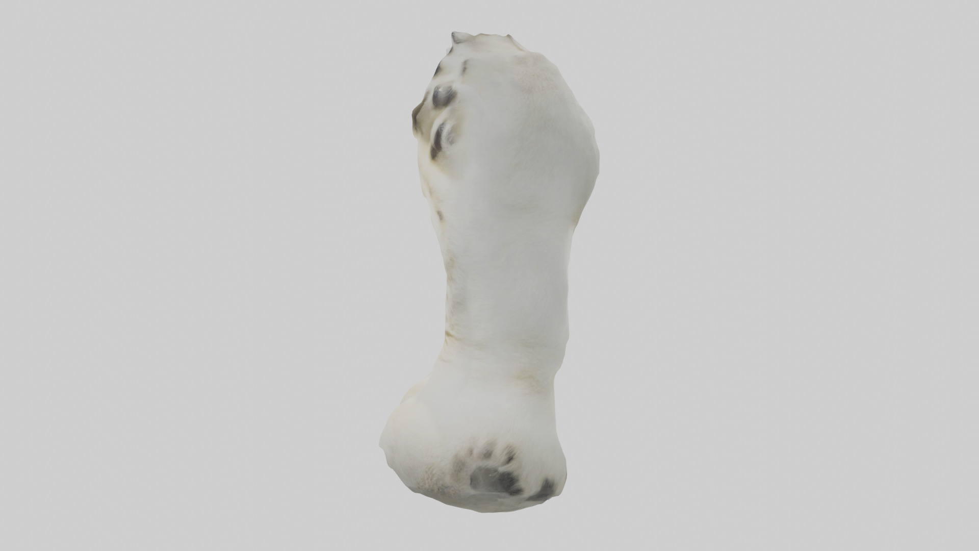 Polar Bear Paws Low-poly 3D model_12
