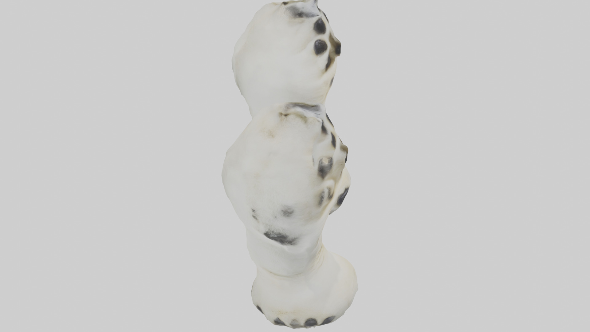 Polar Bear Paws Low-poly 3D model_18